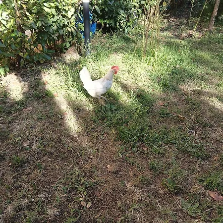 Aquila Hotel 3*