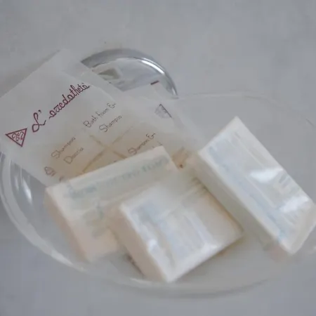 Отель Aquila 3*