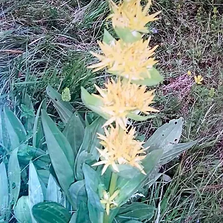 Отель Aquila