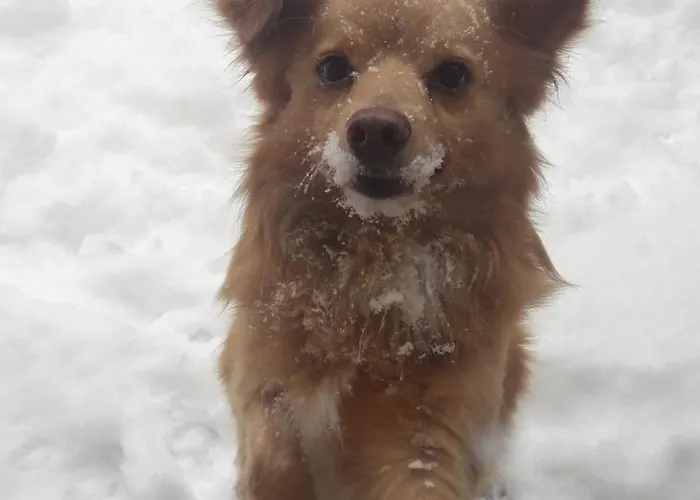 Ξενοδοχείο Aquila